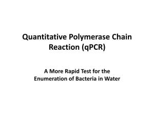 Quantitative Polymerase Chain Reaction (Qpcr)