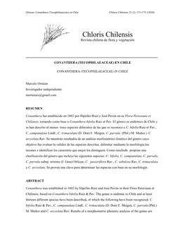 Conanthera (Tecophilaeaceae) En Chile Chloris Chilensis 23 (2): 151-175