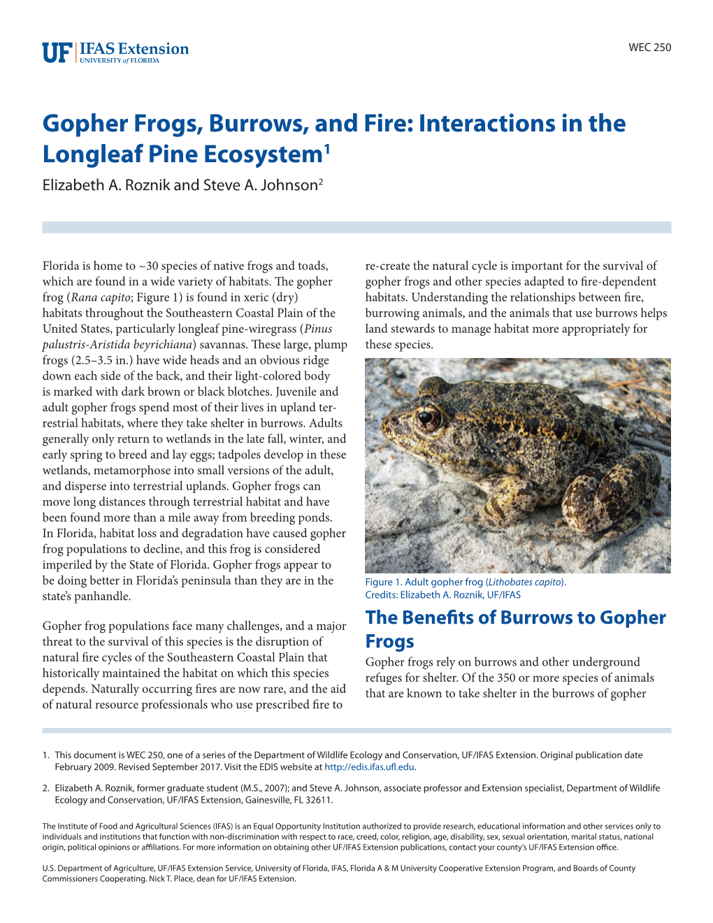 Gopher Frogs, Burrows, and Fire: Interactions in the Longleaf Pine Ecosystem1 Elizabeth A