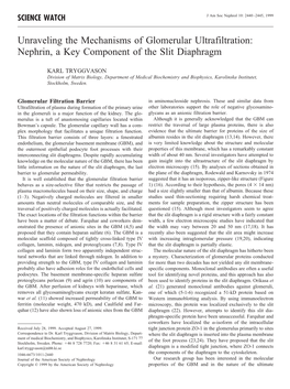 Nephrin, a Key Component of the Slit Diaphragm