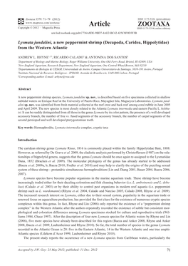 Lysmata Jundalini, a New Peppermint Shrimp (Decapoda, Caridea, Hippolytidae) from the Western Atlantic