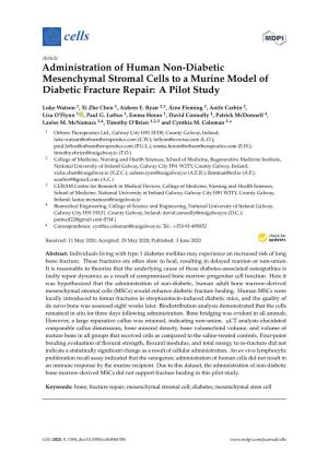 Administration of Human Non-Diabetic Mesenchymal Stromal Cells to a Murine Model of Diabetic Fracture Repair: a Pilot Study