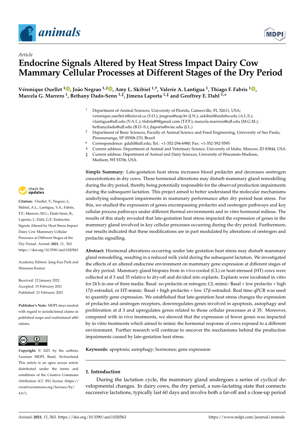 Endocrine Signals Altered by Heat Stress Impact Dairy Cow Mammary Cellular Processes at Different Stages of the Dry Period