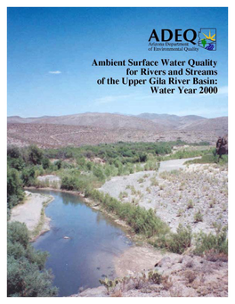 Ambient Surface Water Quality of Rivers and Streams in the Upper Gila Basin Water Year 2000