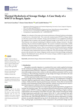 Thermal Hydrolysis of Sewage Sludge: a Case Study of a WWTP in Burgos, Spain