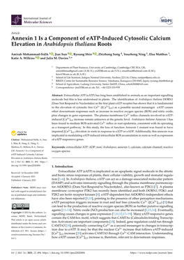 Annexin 1 Is a Component of Eatp-Induced Cytosolic Calcium Elevation in Arabidopsis Thaliana Roots