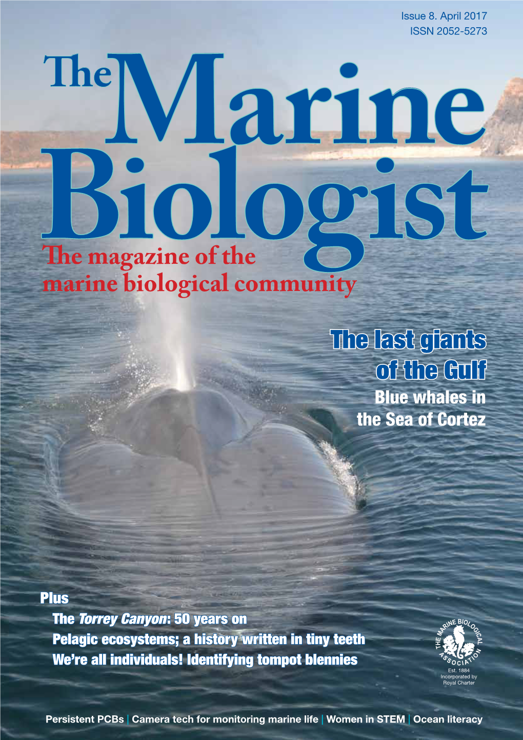 The Last Giants of the Gulf the Magazine of the Marine Biological