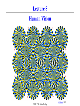 Computer Vision: Human Vision