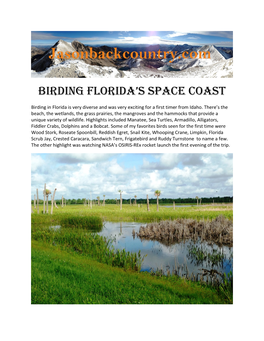 Birding Florida’S Space Coast