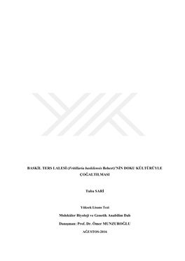 BASKİL TERS LALESİ (Fritillaria Baskilensis Behcet)'NİN DOKU KÜLTÜRÜYLE ÇOĞALTILMASI Tuba SARİ Moleküler Biyoloji V