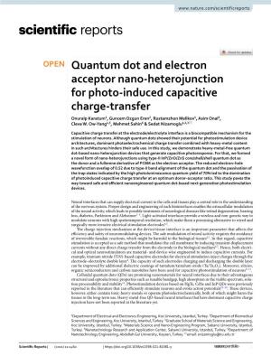 Quantum Dot and Electron Acceptor Nano-Heterojunction For