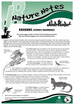 NT Dragons. PDF (353.5