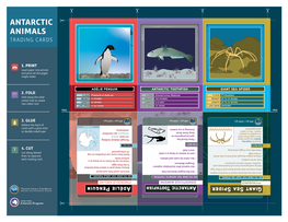 Antarctic Animals Trading Cards