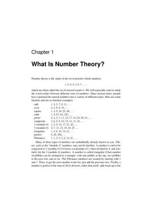 What Is Number Theory?