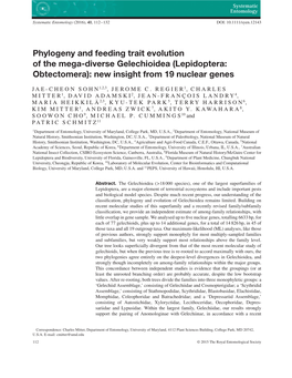 Phylogeny and Feeding Trait Evolution of the Mega-Diverse Gelechioidea (Lepidoptera: Obtectomera): New Insight from 19 Nuclear Genes