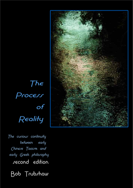 The Process of Reality