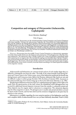 Composition and Ontogeny of Dictyoconites (Aulacocerida, Cephalopoda)