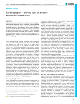 Meeting Report – Shining Light on Septins Fabrice Caudron1,* and Smita Yadav2,*