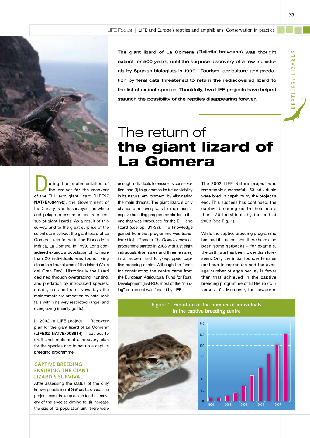 The Return of the Giant Lizard of La Gomera