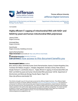 Highly Efficient 5' Capping of Mitochondrial RNA with NAD+ and NADH by Yeast and Human Mitochondrial RNA Polymerase