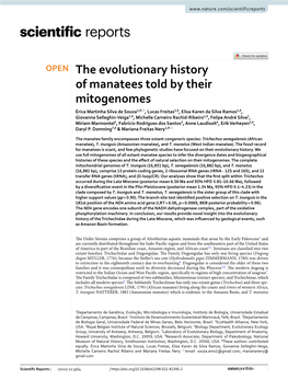 The Evolutionary History of Manatees Told by Their Mitogenomes