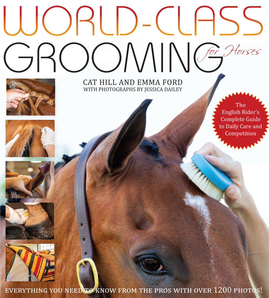 World-Classgroomingt