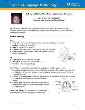 Cleft Lip and Palate: the Effects on Speech and Resonance
