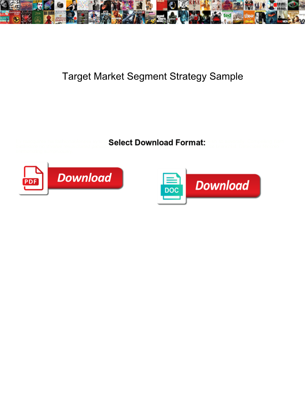 Target Market Segment Strategy Sample