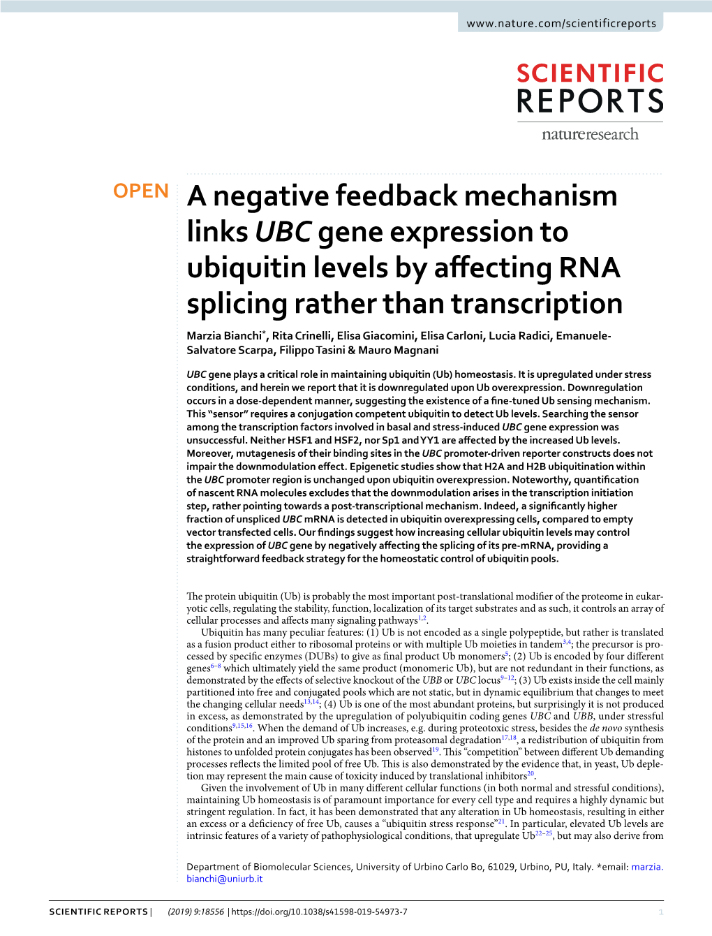 A Negative Feedback Mechanism Links UBC Gene Expression to Ubiquitin Levels by Affecting RNA Splicing Rather Than Transcription