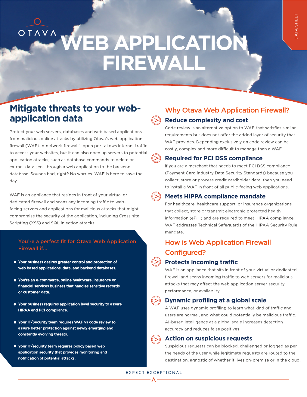 Web Application Firewall (WAF)