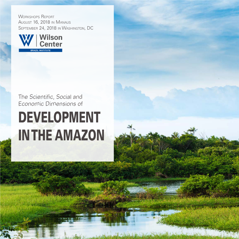 Development in the Amazon