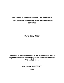 Mitochondrial and Mitochondrial DNA Inheritance Checkpoints in The