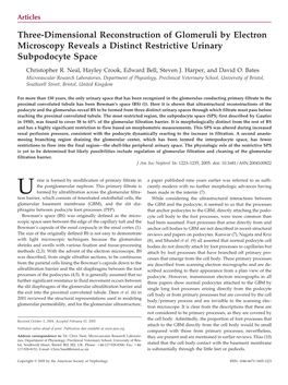 Three-Dimensional Reconstruction of Glomeruli by Electron Microscopy Reveals a Distinct Restrictive Urinary Subpodocyte Space