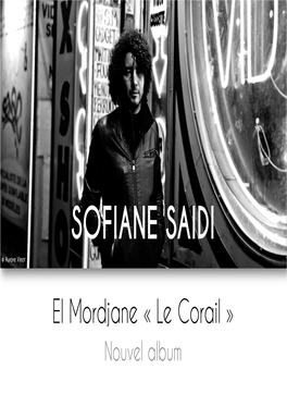 Présentation De Projet Sofiane Saidi