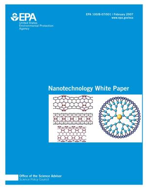 Nanotechnology White Paper