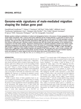Genome-Wide Signatures of Male-Mediated Migration Shaping the Indian Gene Pool