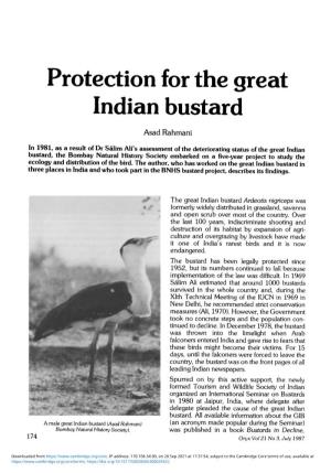 Protection for the Great Indian Bustard