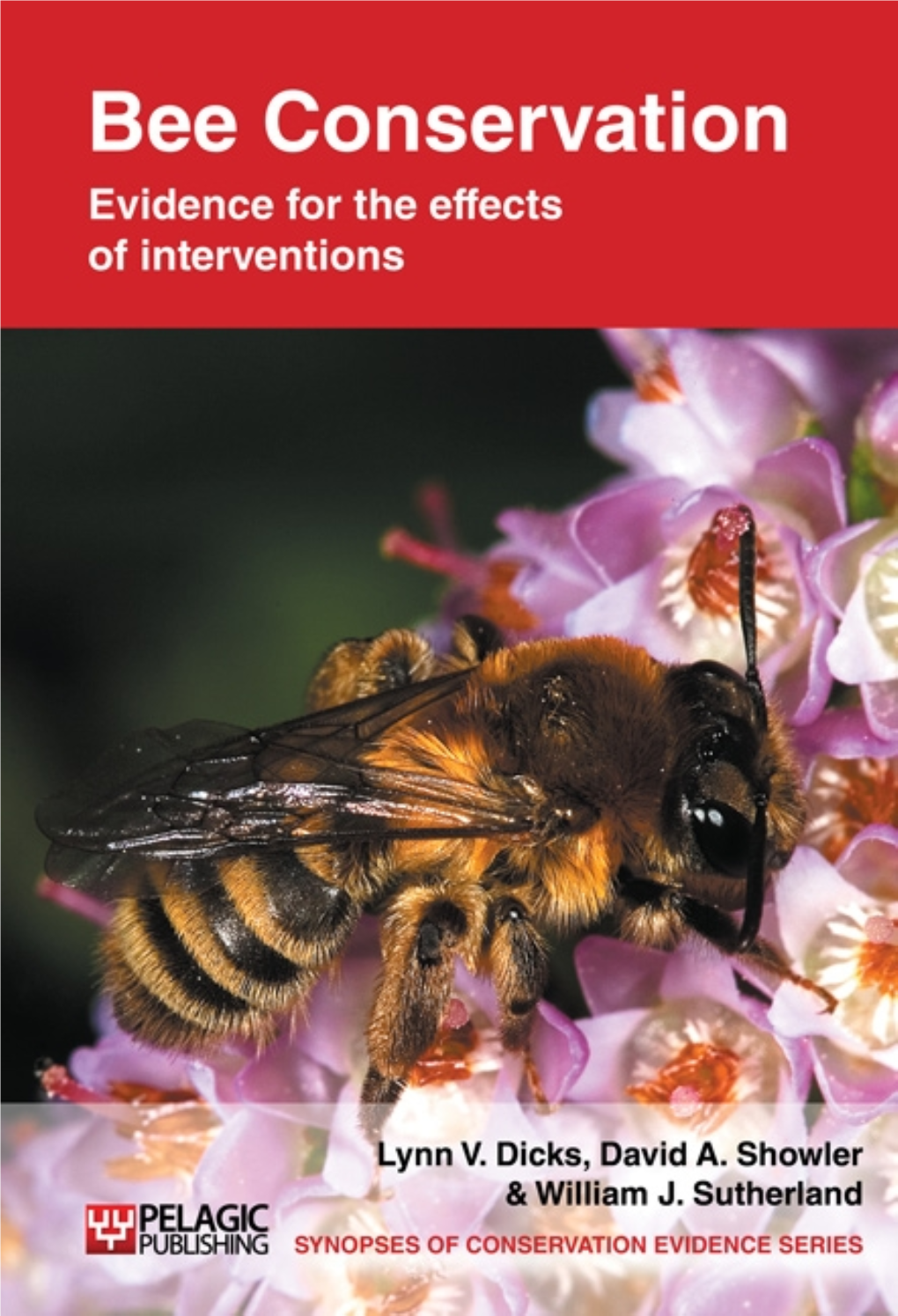 BEE CONSERVATION: Evidence for the Effects of Interventions