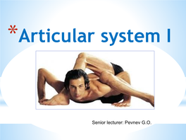 Articular System I