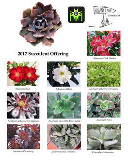 Botany Lane Succulent Liners Email
