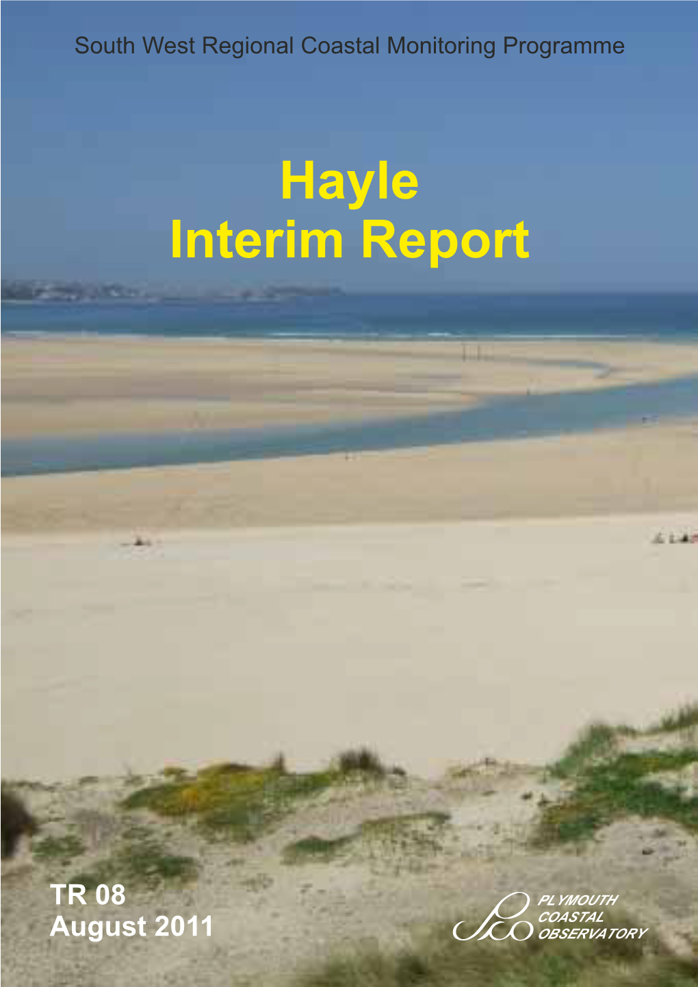 Hayle Interim Report