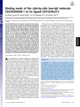 Binding Mode of the Side-By-Side Two-Igv Molecule CD226/DNAM-1 to Its Ligand CD155/Necl-5