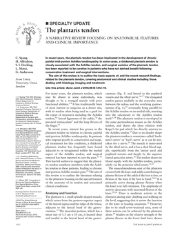 The Plantaris Tendon a NARRATIVE REVIEW FOCUSING on ANATOMICAL FEATURES and CLINICAL IMPORTANCE