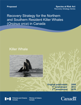 Killer Whale Recovery Strategy