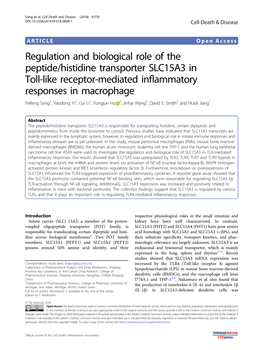 Regulation and Biological Role of the Peptide/Histidine Transporter