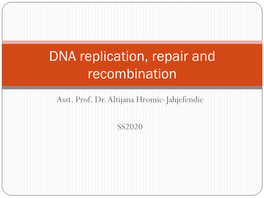 DNA Replication, Repair and Recombination