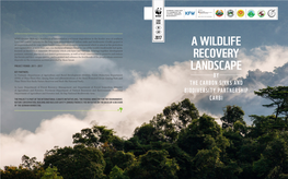 A Wildlife Recovery Landscape Protected Areas by the Carbon Sinks and Biodiversity Partnership - Carbi