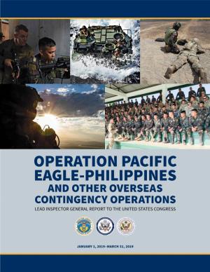 Operation Pacific Eagle-Philippines, Report to the United States