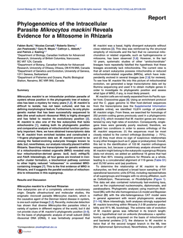 Phylogenomics of the Intracellular Parasite Mikrocytos Mackini Reveals Evidence for a Mitosome in Rhizaria