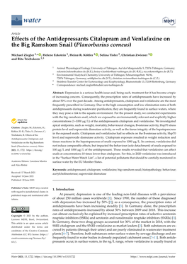 Effects of the Antidepressants Citalopram and Venlafaxine on the Big Ramshorn Snail (Planorbarius Corneus)